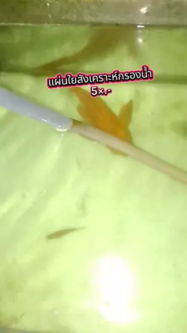 #แผ่นใยสังเคราะห์ #กรองน้ําใส #ดันยอดขายของปังtik_tok 