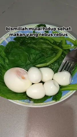 DIET Saran DOKTER, katanya Perbanyak Makanan Yang Di REBUS