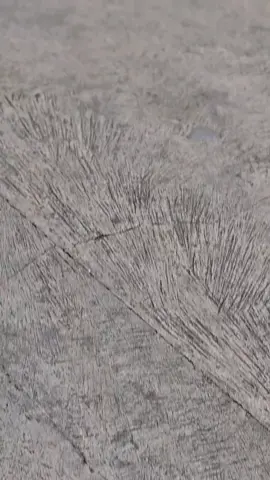 info nyerang howo adem woo#fyp #xyzabc #dohcgank #cb150rsoloraya #cb150r 