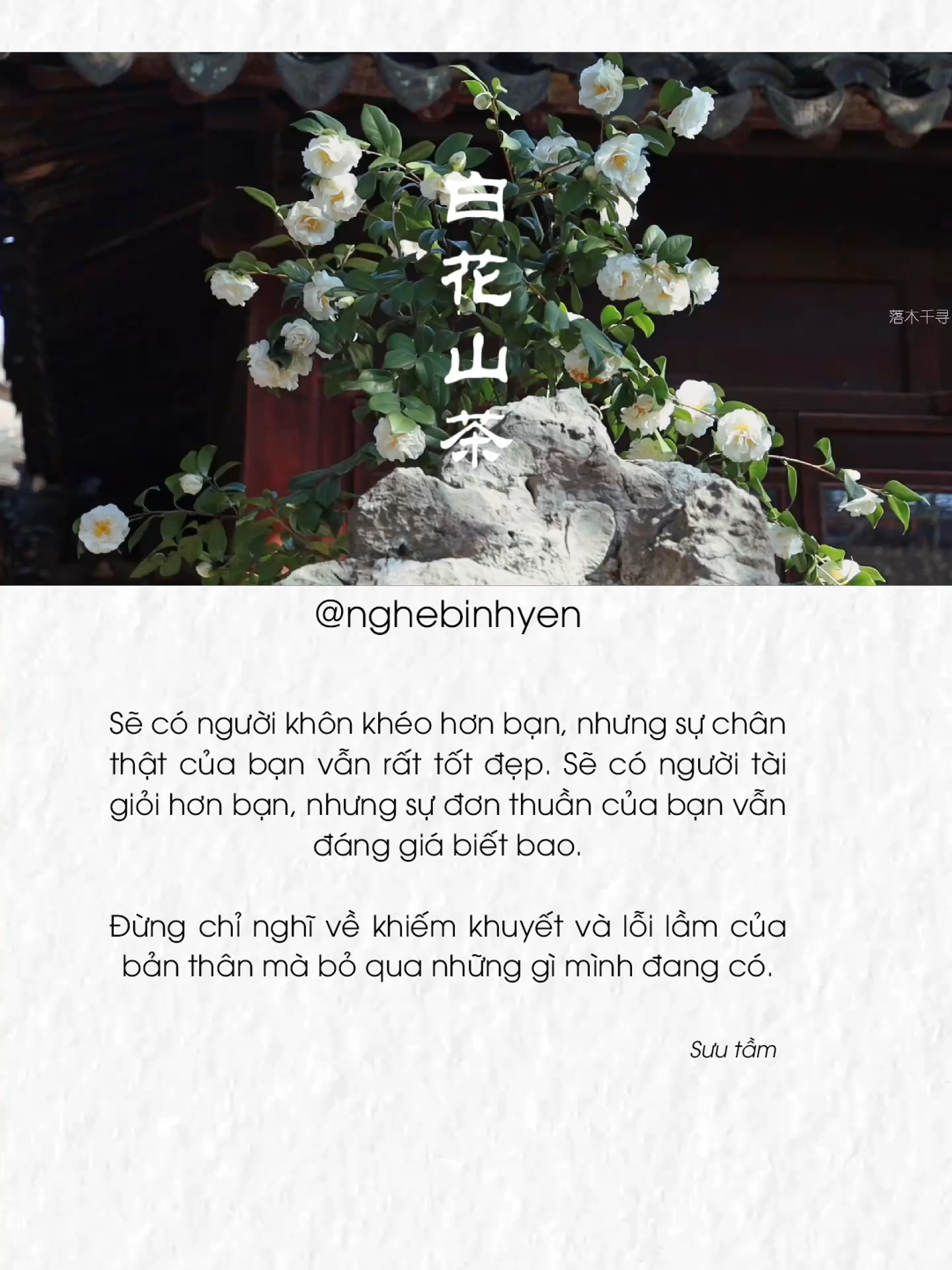 Sự đơn thuần của bạn đáng giá biết bao... #Nghebinhyen #chualanhtamhon #tichcuc #binhyen #chill #nhachaymoingay #nhacchill #nhackhongloi