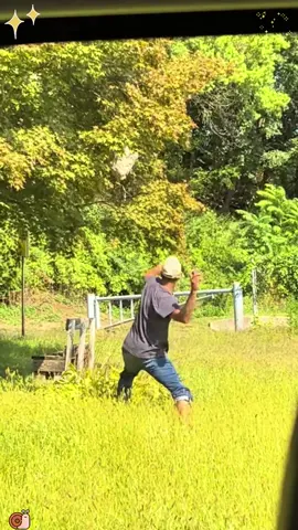 wasp nest removal#SummerLooks #BehindTheSong #dontleaveme #dadsoftiktok #howto #homedecor #fyp#usa