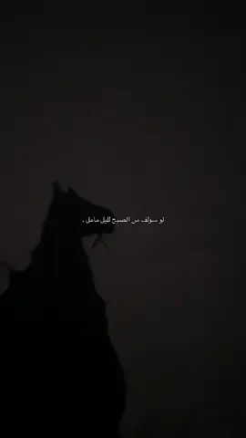 لو سولف من الصبح لليل مامل . #بندر_بن_عوير #قمرا #فديو #fyp #اكسبلورexplore #شيله 