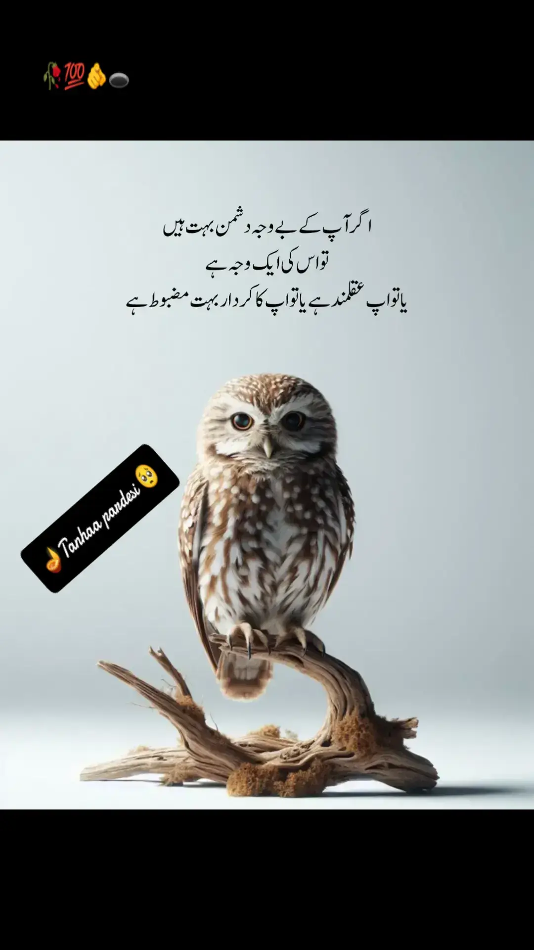 #tanhaa🇵🇰🛫pardesi🇸🇦 #😭🥀💔💯😟😥😭💔💔😭😭😭 