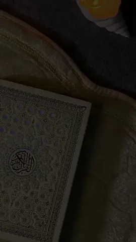 Surah Bakrah #quran #dailyquran #muslimreminder #quran_alkarim #france 