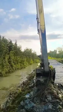 haredang