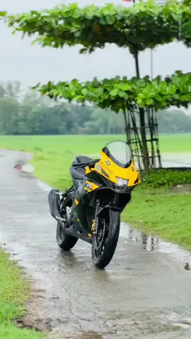 Gsxr 🥹🫶 #foryou #bikelover #gsxr150 #Emotion #fyppppppppppppppppppppppp 