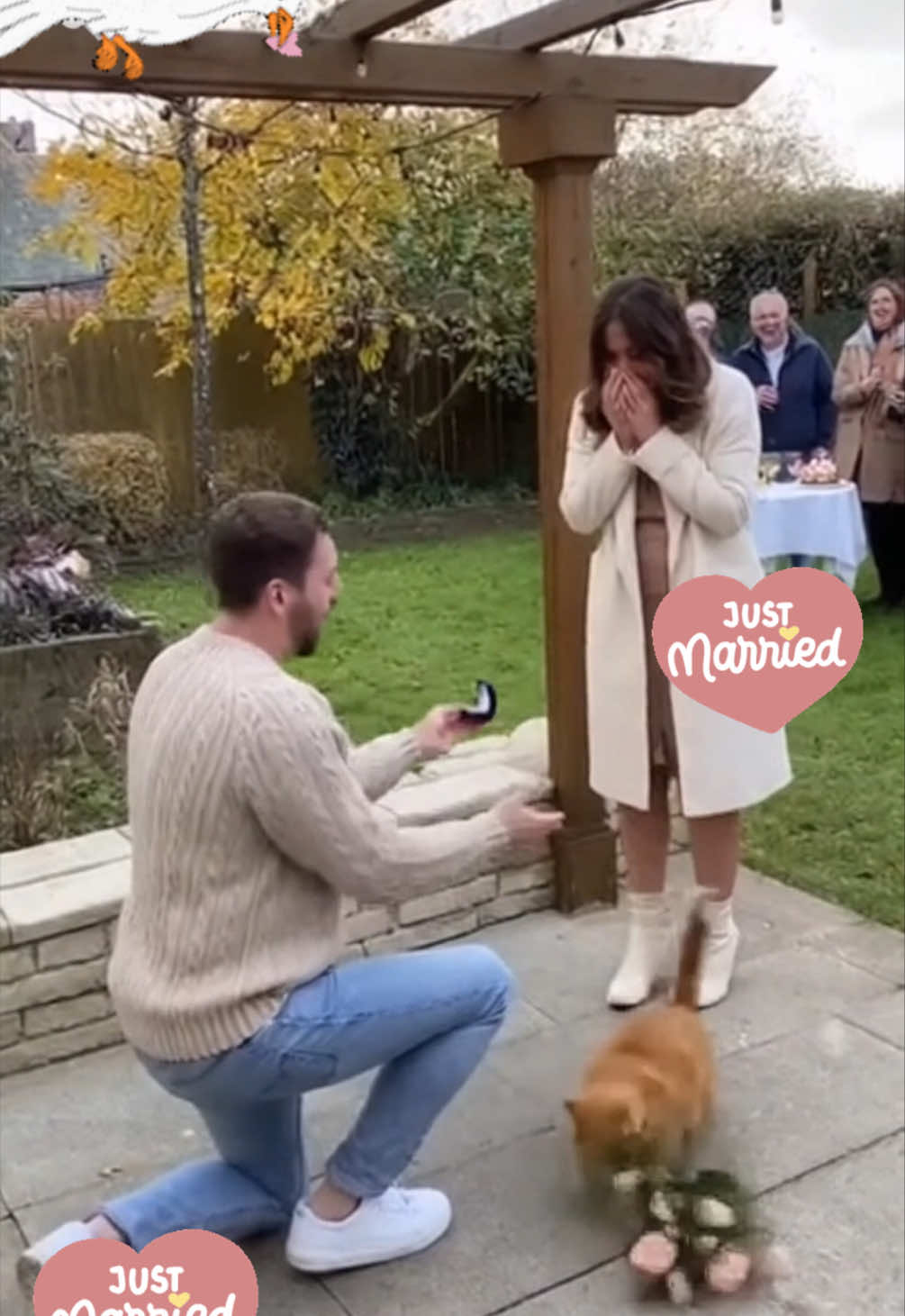 💍 Bro wollte ihr den Antrag machen… aber die Katze hat schneller „Ja“ gesagt 😭🐾