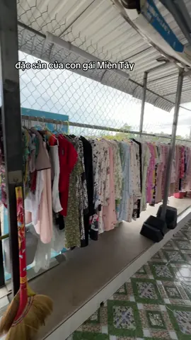 có thể là số lượng chưa dừng ở đó :)) #kimaithenn #94baclieu 