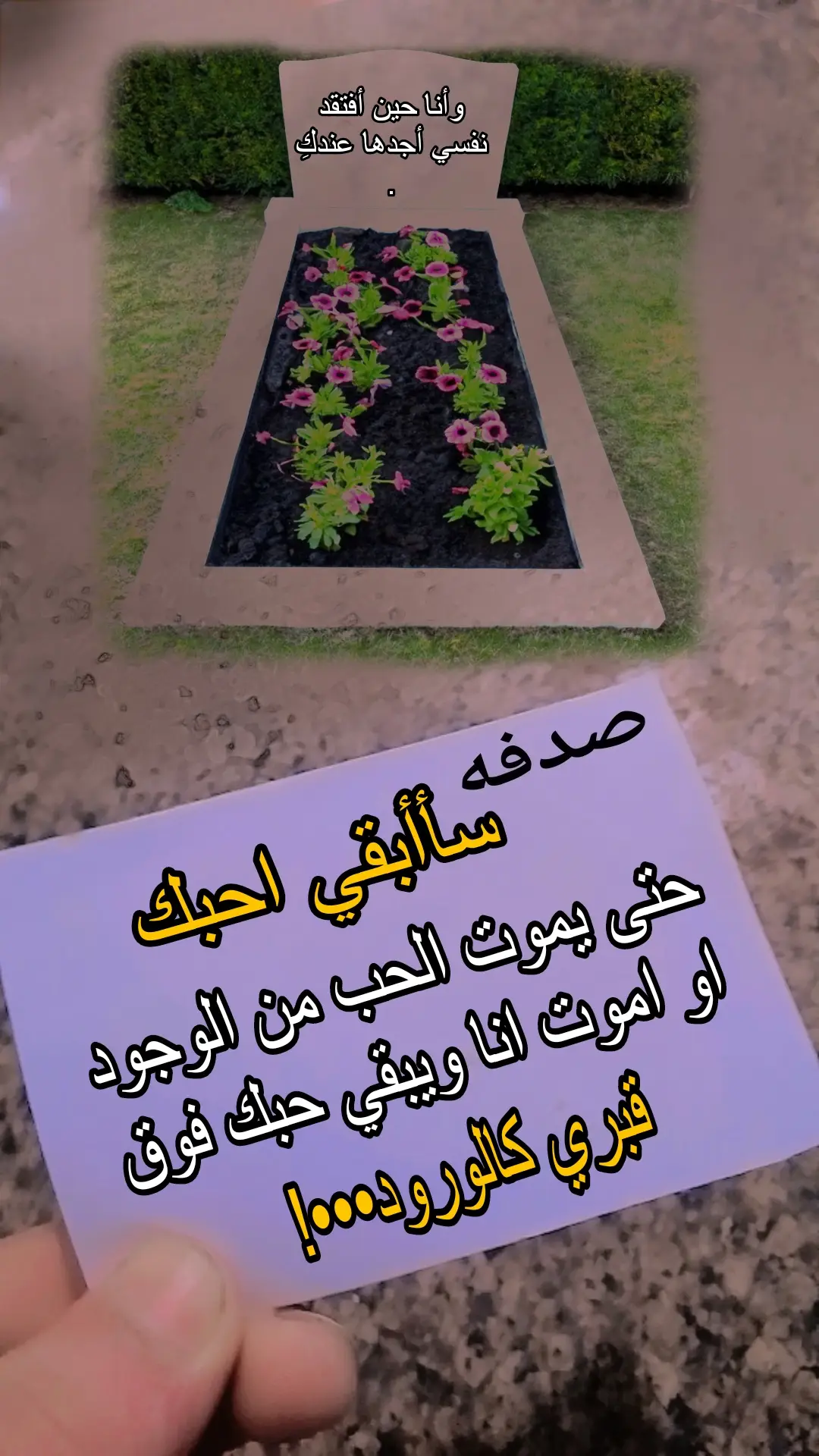 #قونيا________________قونيا😌💙 #صدفه❤️‍ 