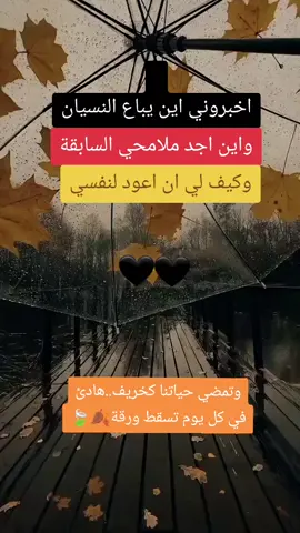 #صباحكم_سعادهـ🌸🍃 #اجواء_الشتاء#خريف #منشوراتي_للعقول_الراقية_فقط #عباراتكم_الفخمه📿📌 