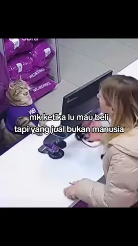 🗿asli ngakak#catlovers #kucinglucu #fyp #core #foryoupage 