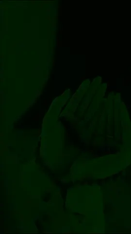 aku meminta pada yang ada ( Allah SWT ) ,aku merindu pada yang kasih ( Muhammad SAW  ) 🤲🏻💚💚☝️ #foryoupage  #masukberanda  #tiktok 