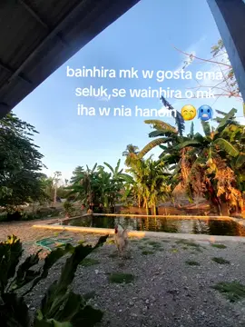 #4u #katakata #hariini#timorleste🇹🇱 