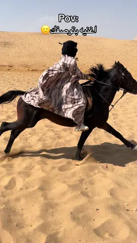 #خيل_وخياله🐎 #خيل_عربي_اصيل🐎🐎 #fy #بنات 