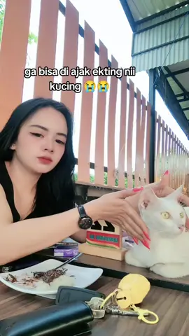 sinii lhooo nengok kameraa