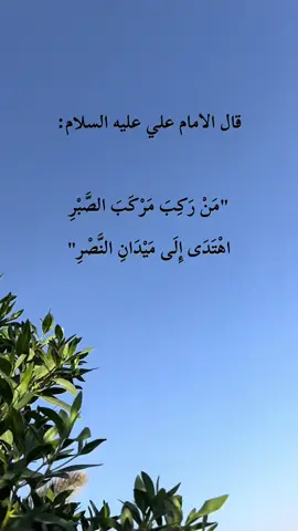 #احبكم_يا_احلى_متابعين 
