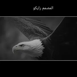#مصمم_فيديوهات🎬🎵  #تصميم_فيديوهات🎶🎤🎬 #تصميمي❤️ #وحيدمرادي_روحت_شاد_دادش_عقاب_ايران #نخابرك_نخابرك_فيما_بعد_😂😁 