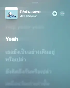 ยังคิดถึง…#เธรด #เธรดเพลง #music 