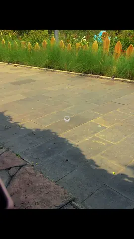 🫨🎧🫀  ||  #childhoodmemories #songvibes #oldstory #masukberanda #fypage 