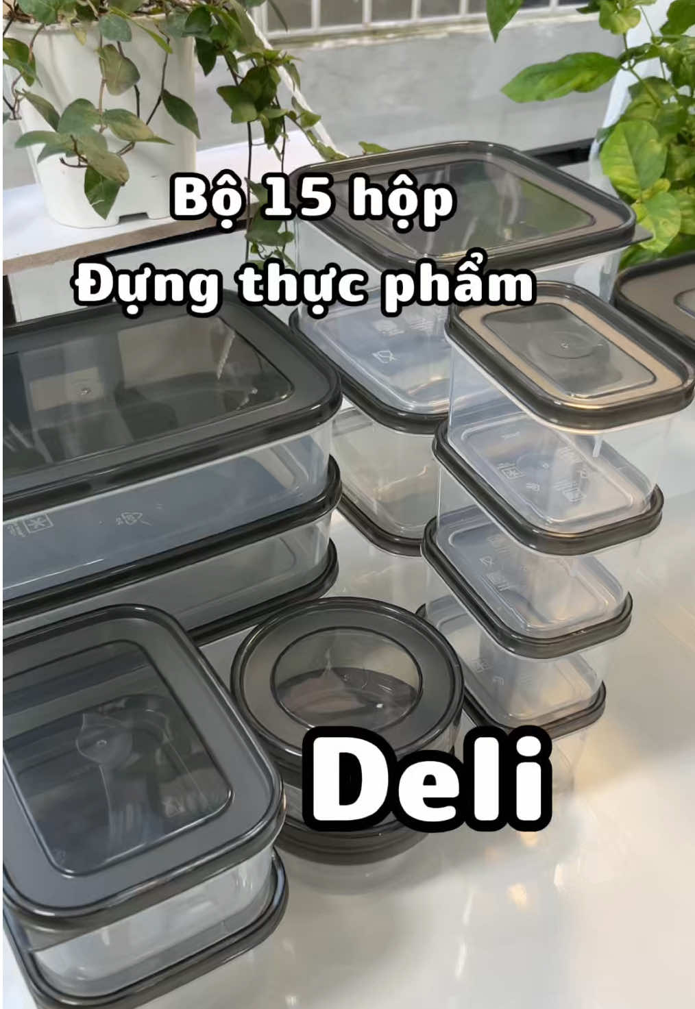 15 Hộp đựng thực phẩm Deli#deli #hopthucpham #hopnhuadungthucpham #hopnhua #mapriviu 