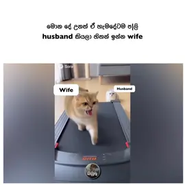 😂😂