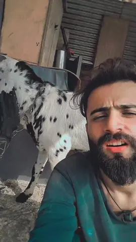 bilal😅Vs bakra#fyppppppppppppppppppppppp #foryoupage #fyppppppppppppppppppppppp #fyppppppppppppppppppppppp #fyppppppppppppppppppppppp 