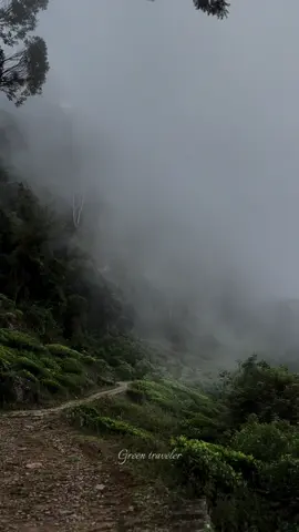 මීදුම් පාරාදීසය 🧘‍♂🍃⛰️ #nonperial #fypシ゚ #foryou #virel #travel 