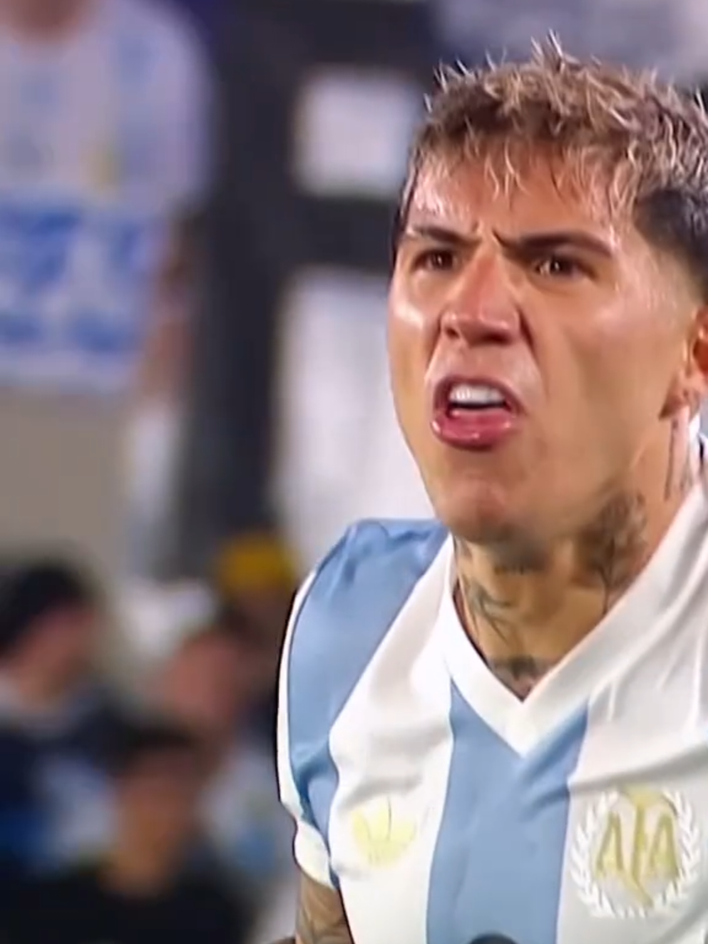 enzo Fernandez #enzo #enzofernandez #argentina #football #fyp