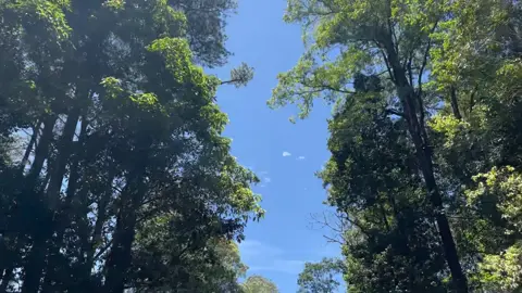 masa iya driver nya cuma ngantar doang, sesekali main juga dong🤣 ayo teman” yg ingin jalan” ke -danau toba -brastagi -danau lau kawar -air terjun lauberte/pelaruga boleh langsung dm/chat whatsapp saya😇 ☎️ +6282311152810  #supirmedan #privatetripmedan #privatetripbrastagi #pakejmedanlaketoba #fyp 