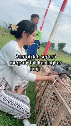 Ngabuburit sayang#fyp #pmtiindonesia #merpatikolongbebas #merpatikolongmeja #jamumerpati 