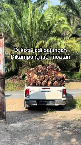 #fyp #sawitontiktok #sawitbalap 