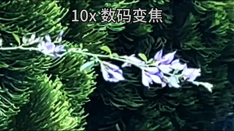 “Sự khác biệt trực quan nhất giữa zoom kỹ thuật số và zoom quang học” #nhiepanh #zoom #douyin抖音 #douyin 