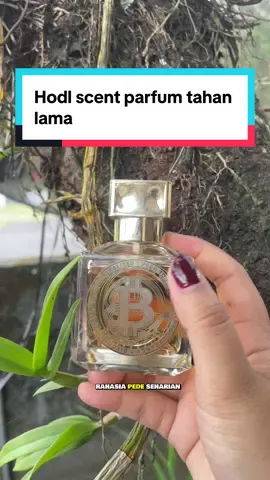Hodl scent eau de perfume ✨ #parfum #parfumviral #parfumwangi #hodl #parfumhodlscent 