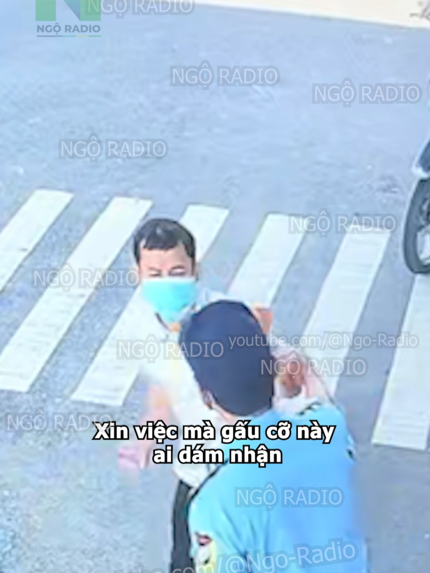 Xin việc mà gấu cỡ này ai dám nhận #viraltiktok #ngoradio #cuocsong #tintuc #phapluat