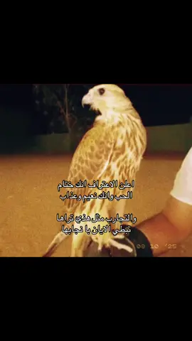 #قصيد #شيلات #you #W 