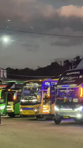 Lirikan maut dari sang Boss Muda😎😈 #busmania #busmaniacommunity #maniantb #langsungindah #promomakan1010 