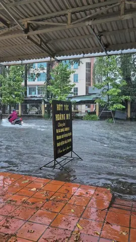 Lâm Quang Ky Thất Thủ#rachgiakiengiang 