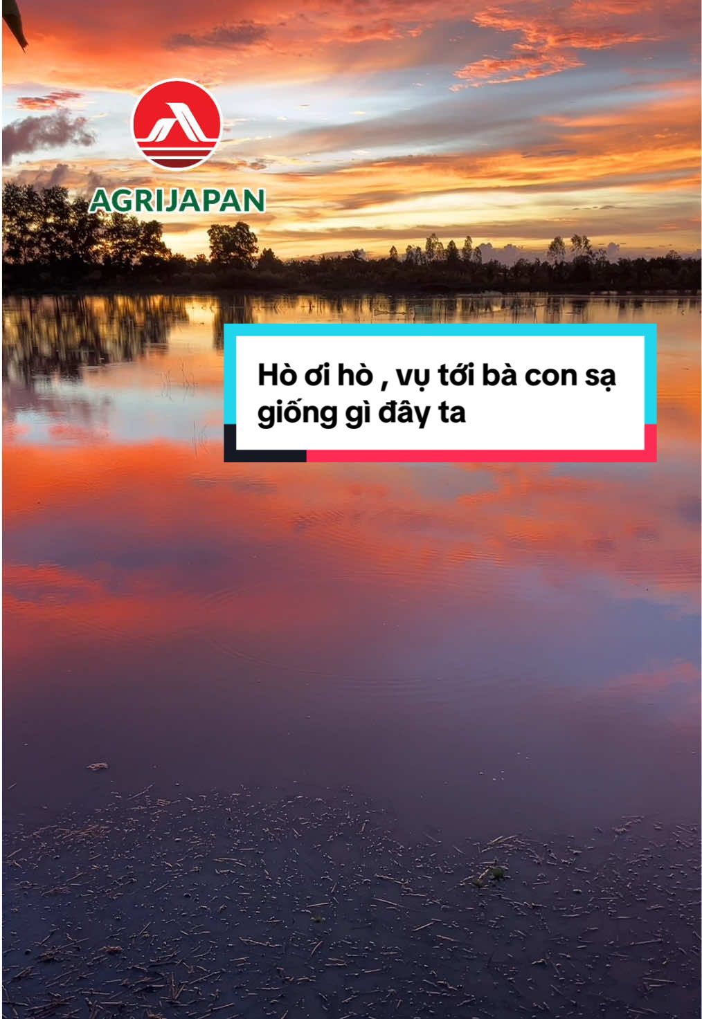 Mời bà con mình hò đáp nha hihi #agrijapan #lanlanagrijapan #dongxuan #giong #ST 