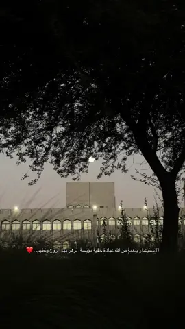 #اكسبلور #explore #قران_كريم 