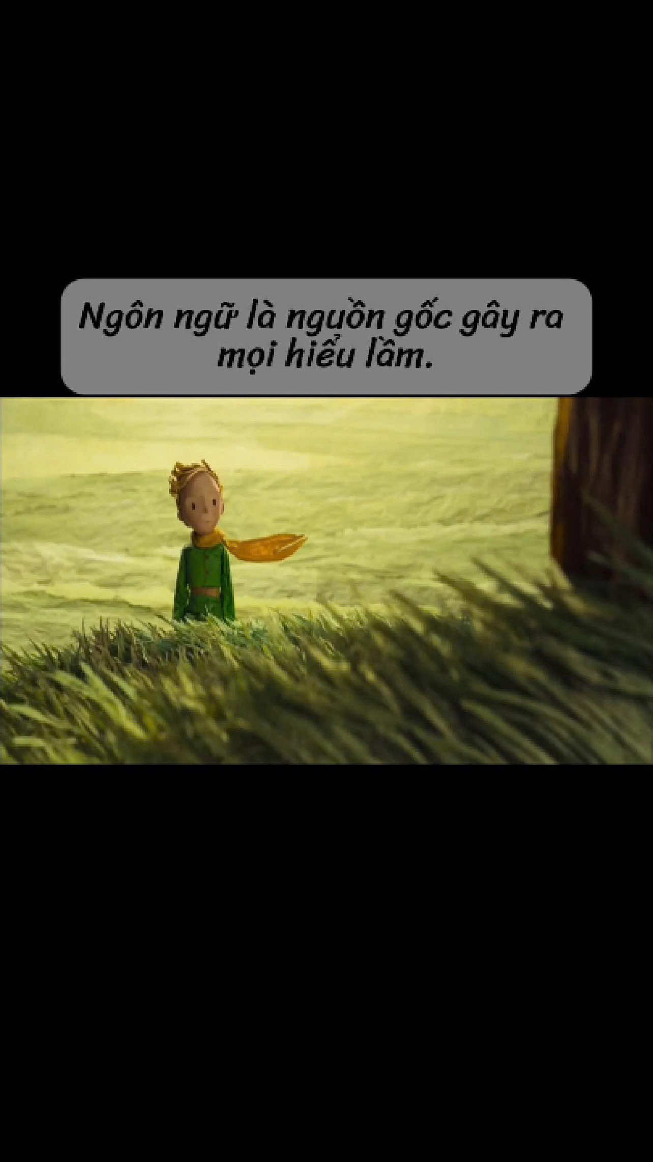 Ngôn ngữ là nguồn gốc gây ra mọi hiểu lầm #gocyeusach #sachhay #trichdansach #BookTok #hoangtube 