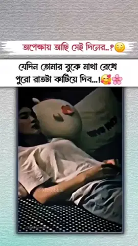 ##bd 