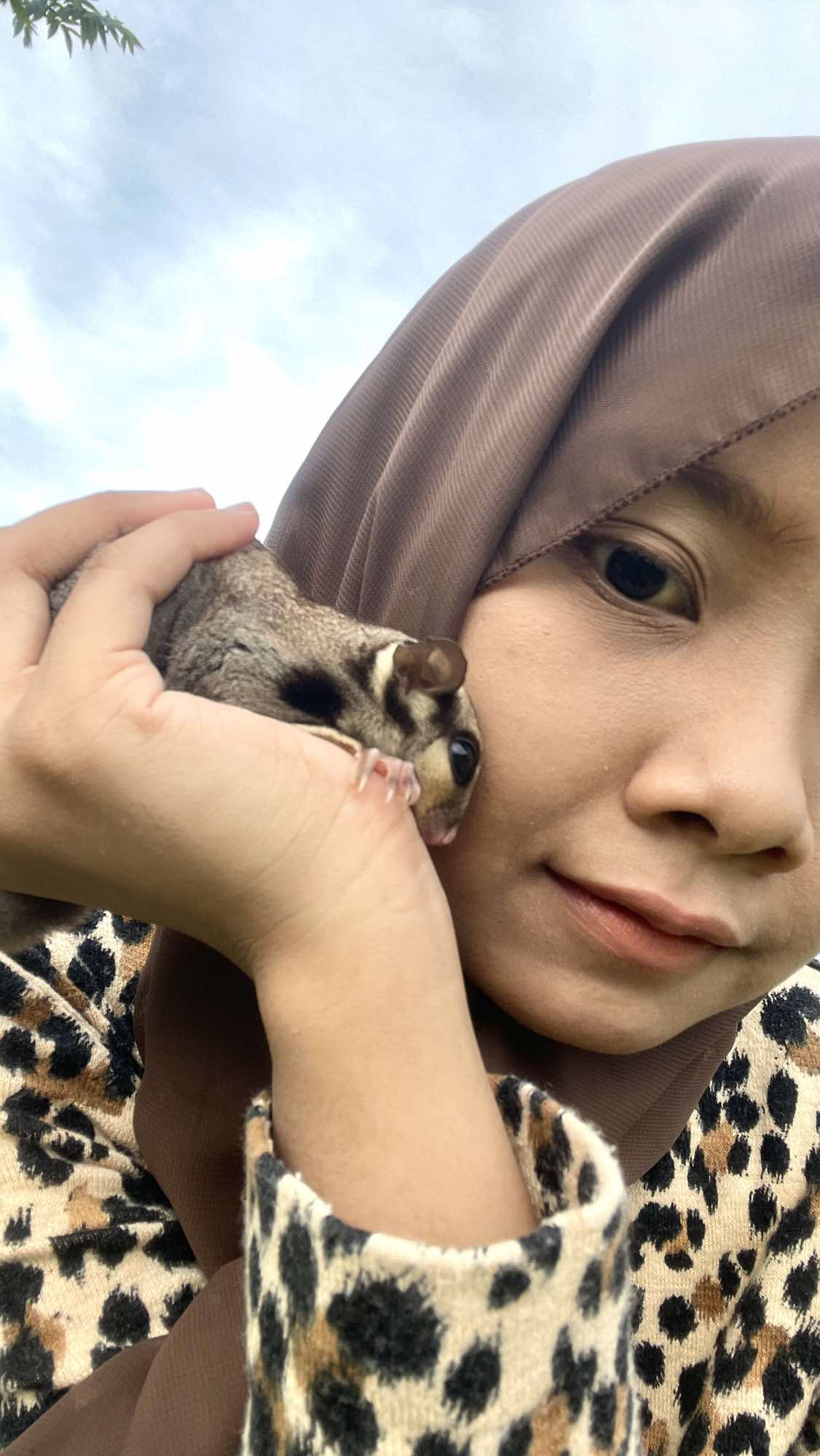 Hehe pasti ngajak main terus . . . . #sugarglider #anabul #hewanlucu #hewanpeliharaan #4u 