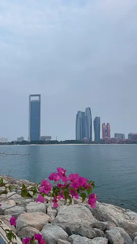 #راشد_الماجد #من_عرفتك #🤍 