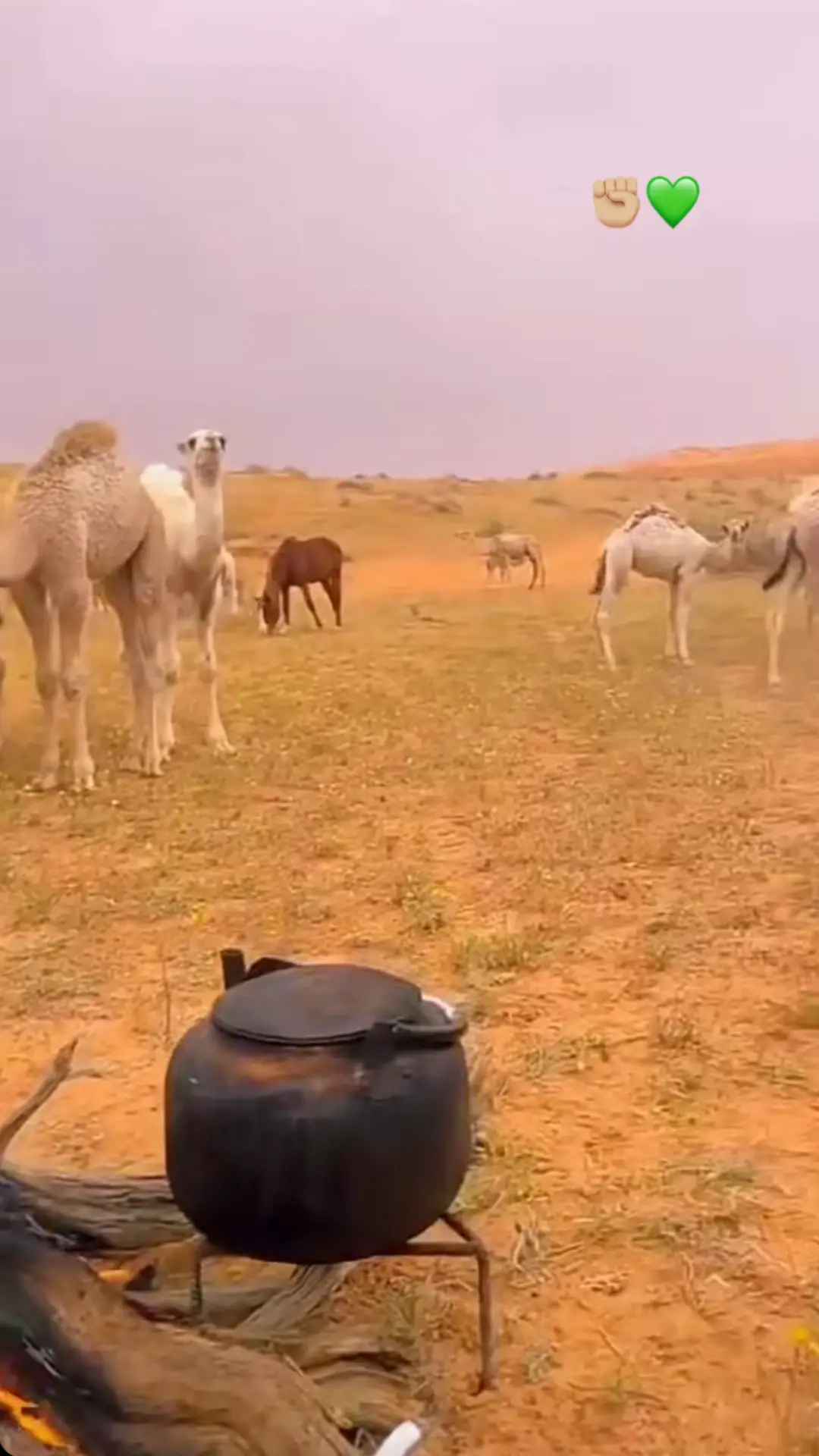 #creatorsearchinsights 