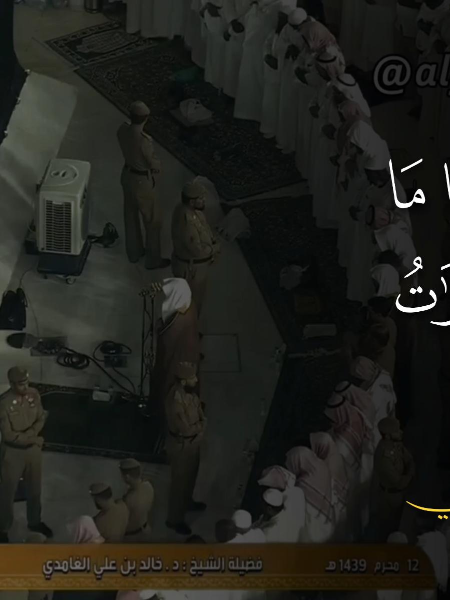 خالد الغامدي - سورة : هود #سورة_هود #الحرم_المدني #الحرم_المكي #quran #سبحان_الله_وبحمده_سبحان_الله_العظيم 