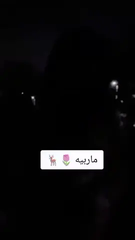 #مأربيين📌_ملوك_سبأء_ #مأربيه#عبيديه_وافتخر👑👑#عبيده_مأرب_سبأ_وادي_عبيده_أبراد🌷🌷 