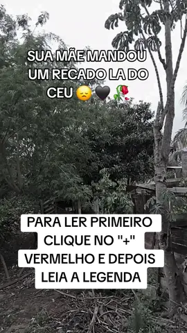 Às vezes, eu sei que você sente que a minha ausência deixa um vazio impossível de preencher, como se estivesse navegando sozinho em um oceano imenso. Mas quero que saiba algo importante: eu nunca deixei de estar ao seu lado. Estou aqui, em cada respiro, compartilhando suas alegrias e aliviando suas dores, mesmo quando você não me percebe. Hoje, mais do que nunca, senti que precisava falar com você. Você se lembra daqueles instantes de cumplicidade que pareciam parar o tempo? Esses momentos ainda vivem em mim, cheios de amor e gratidão. Quando um riso inesperado escapa dos seus lábios ou uma lembrança quente te envolve, sou eu, te lembrando que você não está sozinho. Minha paz agora é plena, e tudo o que desejo é que você encontre a sua. Estive com você nos seus dias mais difíceis, nas noites cheias de perguntas. Quero que saiba que não há nada que você precise se culpar. Você deu tudo de si, e o que vivemos juntos foi mais do que suficiente. Nosso vínculo continua intacto, além deste mundo e do tempo. Quero que continue sonhando, que confie em si mesmo como eu sempre confiei. Não deixe que o medo te paralise. Estou com você, celebrando suas conquistas e te incentivando a cada passo. Grandes coisas te esperam, e estarei lá em cada uma delas, como sempre estive. Mesmo que deseje me ver ou me ouvir mais uma vez, estou em cada detalhe que te traz paz: um amanhecer, uma canção, uma brisa. Quando precisar de calma, feche os olhos. Estou com você, te sustentando. Nunca se esqueça disso: eu te amo. O nosso amor transcende tudo. Viva com coragem, porque eu estou ao seu lado, sempre. #mensagem  #amoreterno  #conexãoespiritual  #mae  #luto 