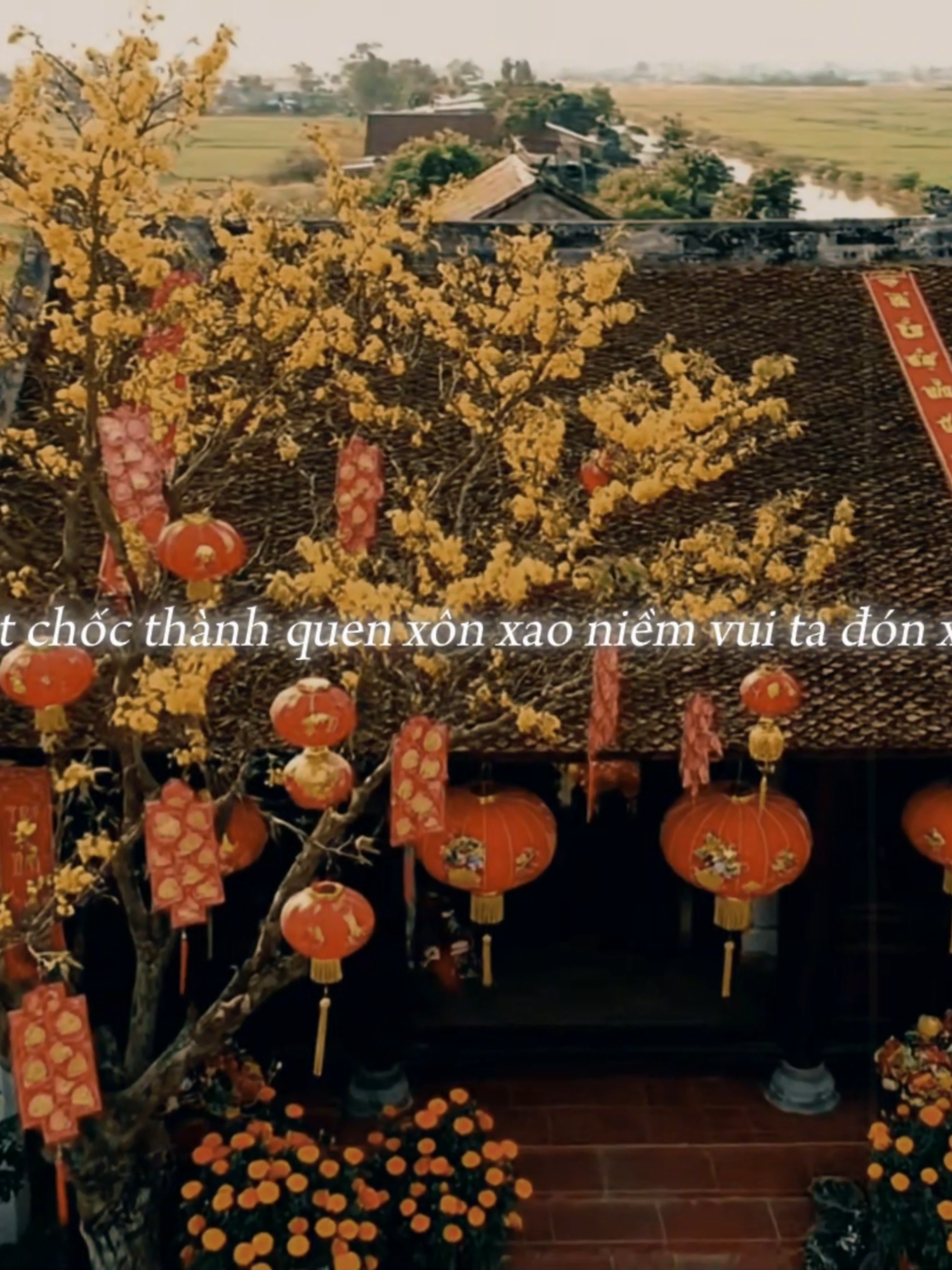 Có thể mang ngay tết 2026 đến đây được không? #antertainment #nhachaymoingay #betamusic #giaidieuxua #nhac #tet #xuan #phoxuan