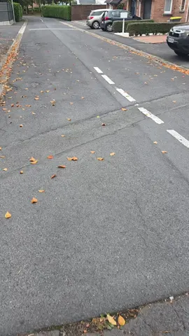 #LIVEIncentiveProgram #SideHustleLIVE #PaidPartnership 