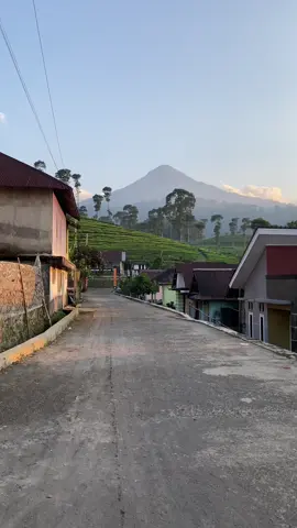 Ngadem bentarlah yaa 🍃 #Blado #fypage #kebunteh 